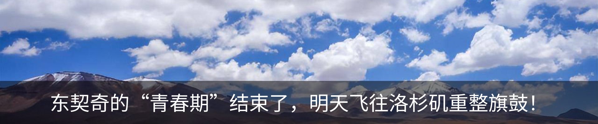 新闻动态