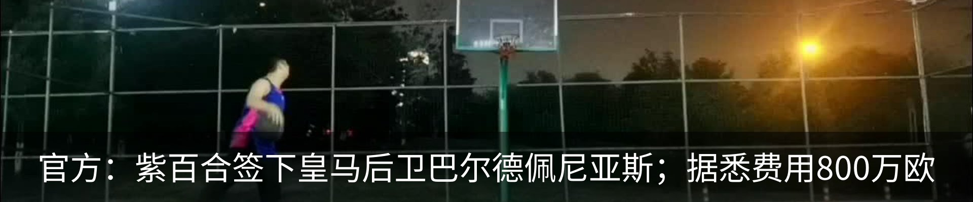 新闻动态