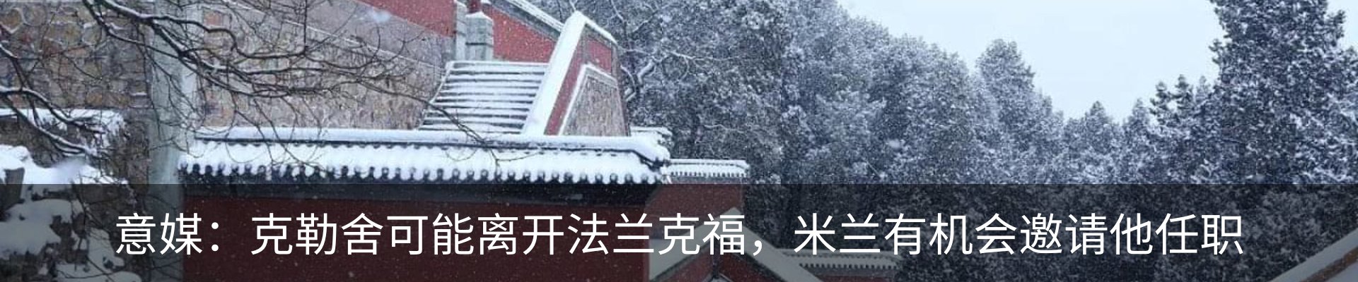 新闻动态