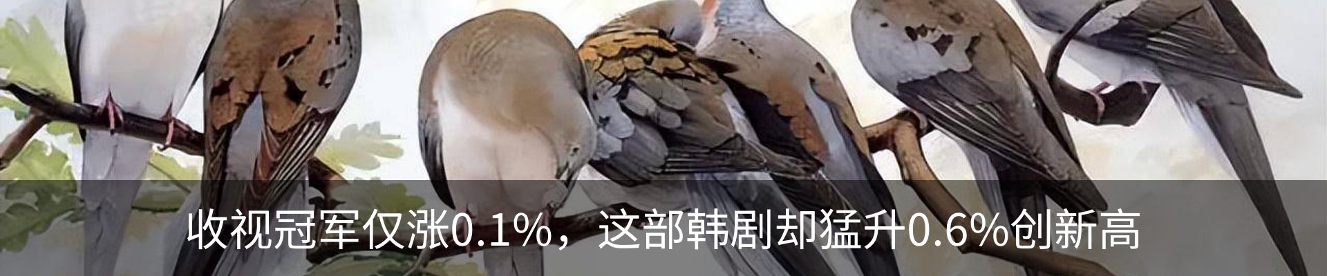 新闻动态